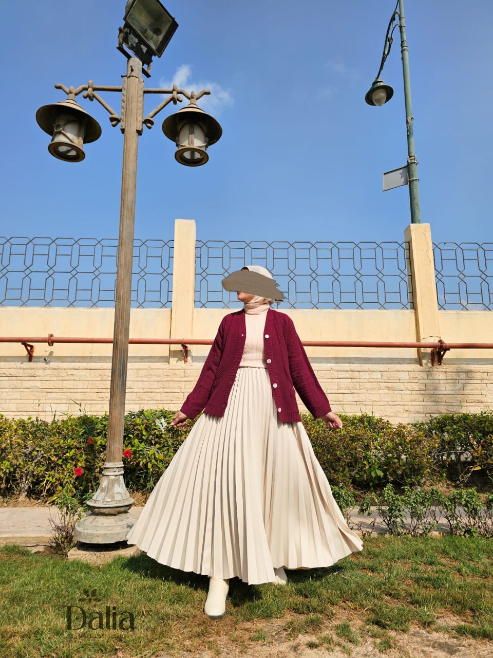 كارديجان "أقحوانة"